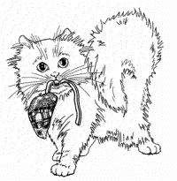 Catwtoy.JPG (29634 bytes)