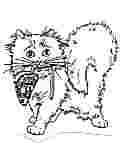 catwtoy.jpg (5835 bytes)